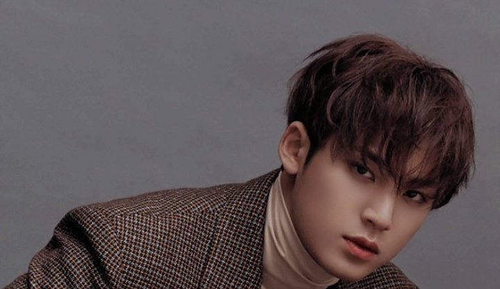 mingyu edits tweet media