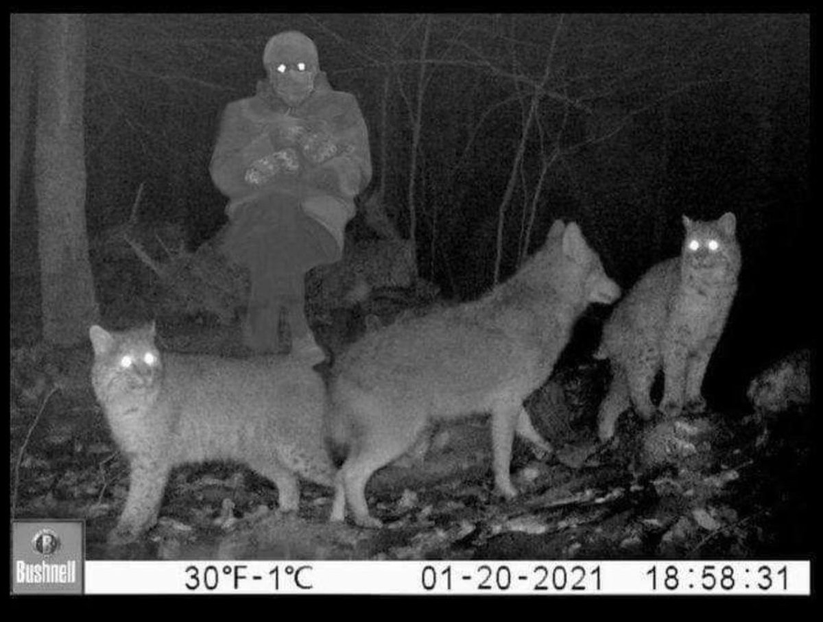 Steph'sHaus tweet media