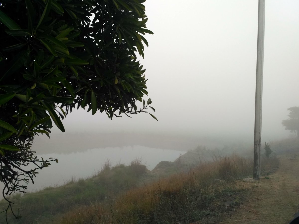 JITENDR28383867's tweet photo. #Cold Shots !!!
#Morning #Travell
#Foggy Driving🚗
#Pathargama to #Kahalgaon https://t.co/2j7lPt8DEK
