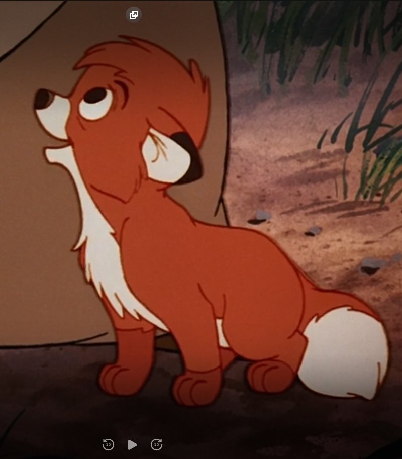 Kra_o3o_z's tweet photo. Maybe someone can ask "Why do you like foxes?"
My real question is: How do you want me not to love them if this appears in my childhood?! >:'c
#Tod #Fox #TodNeverDie #TeamTod #WeAreTod #FluffyFox #IWantOne #FoxIsLoveFoxIsLife  #LittleFoxEyesThatMakeAnyoneFallInLove https://t.co/fs370KLhFL