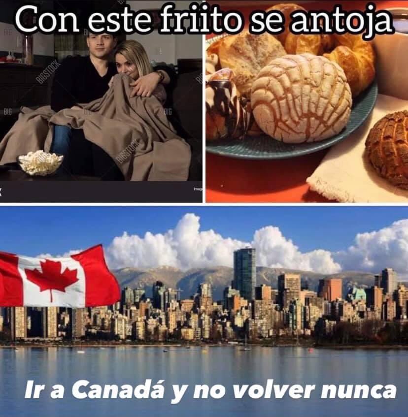 MexicoMagico's tweet photo. https://t.co/81S0097vyQ