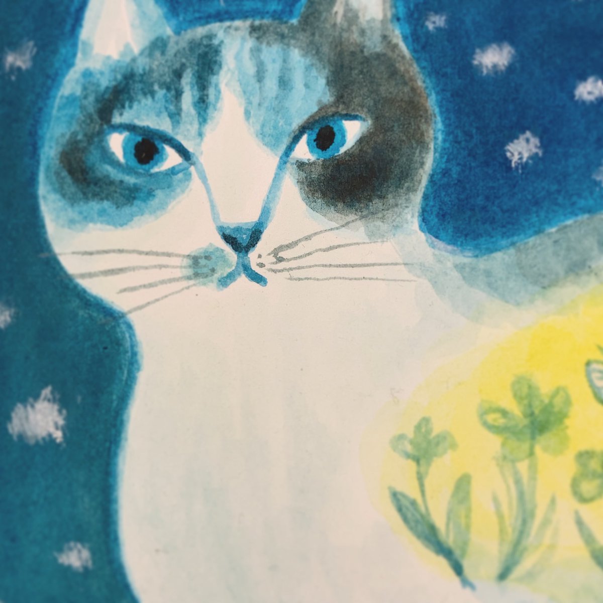 torigoemari's tweet photo. https://t.co/sAhYUB3rvz