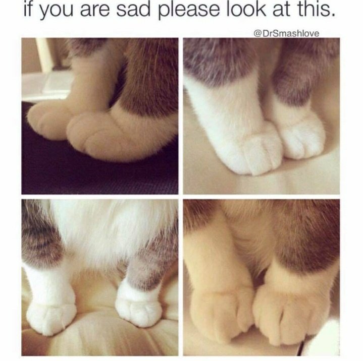 sehyungthinker's tweet photo. if you are sad please look at this. https://t.co/zLz37QYUd5