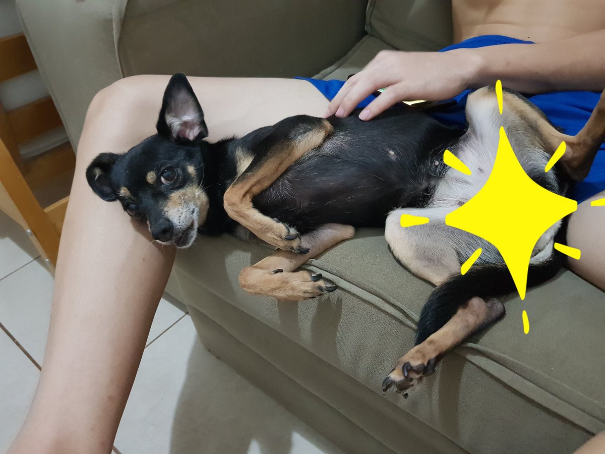 젤 ~~~~편한 세상~~~~~