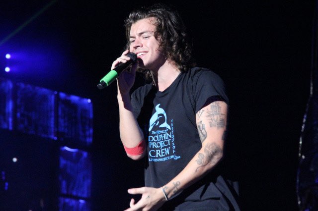 OK SO h seemingly donated blood on october 5, 2014. they had a concert that night in san diego where he still had the bandaging from donating blood on right? this picture is from that show