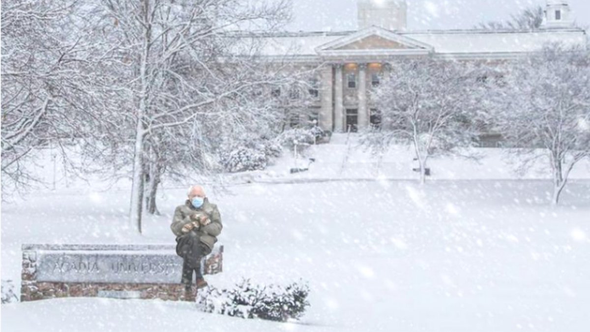 Acadia University tweet media