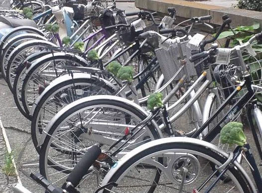 @yoookd @JIBURl そしてこの後、近隣に駐輪してある自転車のサドルがすべてブロッコリーに変わっているんですね、わかります。 