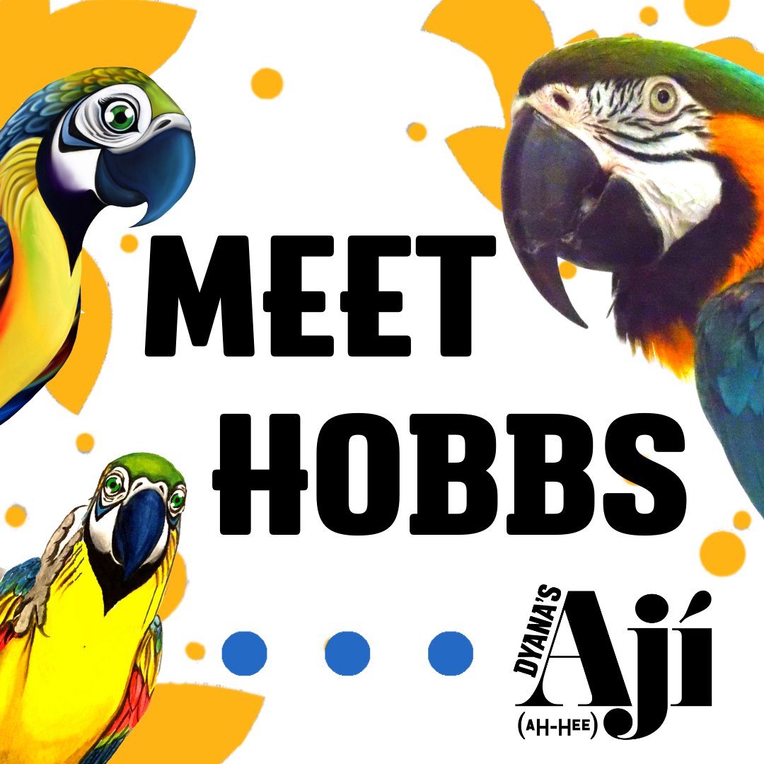 Have you ever wondered why our mascot is a parrot? Our loudest family member is a blue &amp; gold macaw named Hobbs!

She has an incredible personality even though she is not much of a morning bird. The best greeting in the world is hearing “hello, how are you?” from her!