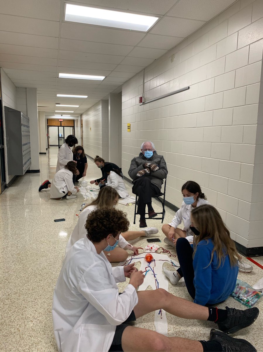 starfishtiff's tweet photo. Bernie visited my Biology class today to monitor them working on their human body systems 3D posters. Hard to say if he approved. 🤣 #Berniememe @HCPSRobinsonHS https://t.co/ezWI4pwmmr
