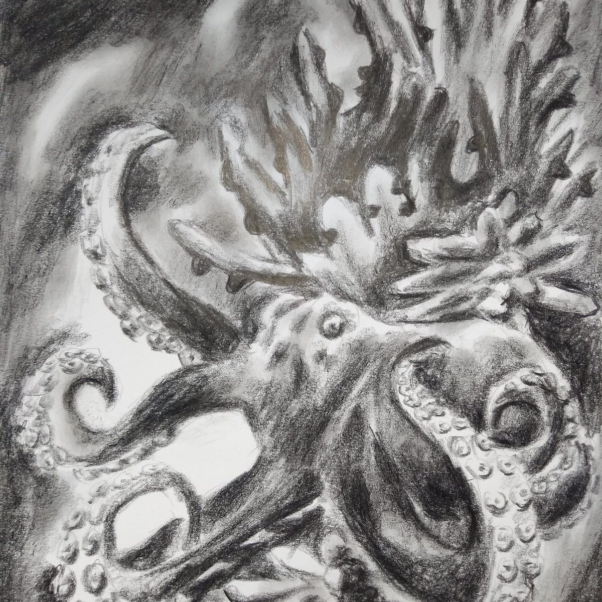 El pulpo con carbón graso en el arte del dibujo pintura escultura y grabado  por Youtube., image size:1200x1200