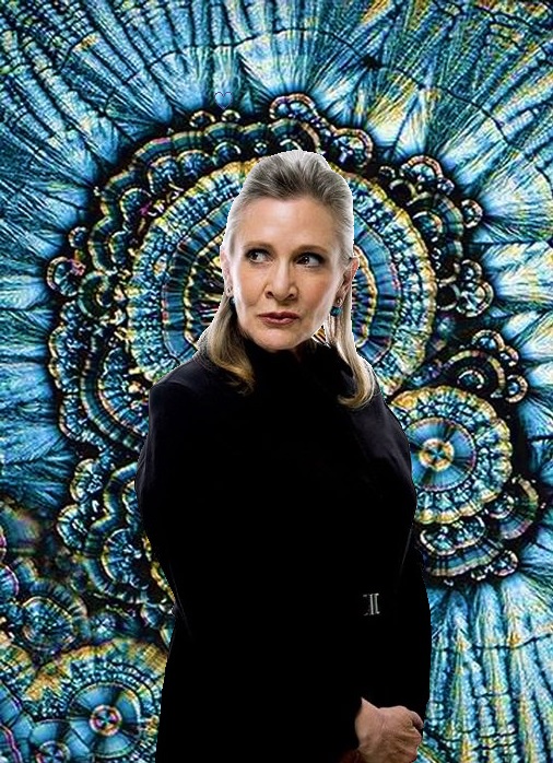 C &amp; C @HamillHimself <a href="/leiaorganajedi/">Zabela</a> <a href="/ponygal1986/">Lady Debra 💜</a> @generaljedileia <a href="/DWaltonDameM/">Dwalton 🇺🇦🌻</a> <a href="/Carie80ESB/">🌌Brial Skywalker🌌</a> <a href="/EByzio/">Eva Byzio</a> <a href="/MaraRanger/">꧁𓊈🅼🅰🆁🅰𓊉꧂</a> <a href="/Kimmature/">Kimmature</a> @BhanJawn <a href="/graphicscat86/">Rheta</a> <a href="/reimamy/">Amy R</a> <a href="/pedeseure/">Peggy DeSeure</a> @JettaRosewater