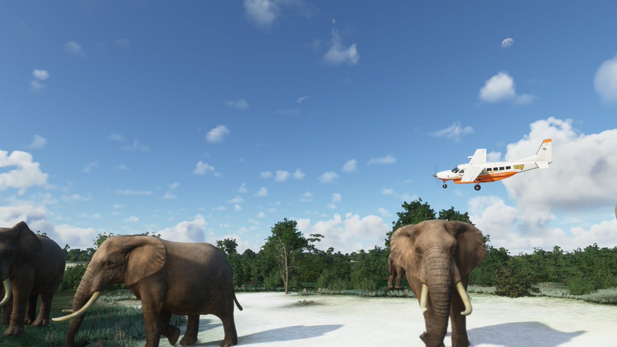 SimWorksStudios's tweet image. #SWS #MicrosoftFlightSimulator #Safari Okavango delta