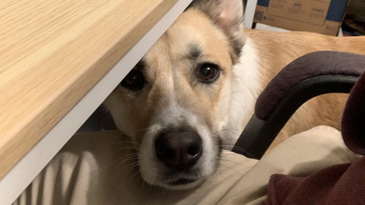 Sorry, this thread is temporarily on pause bc apparently it’s DINNER TIME.   #Kweli21VIRTUAL