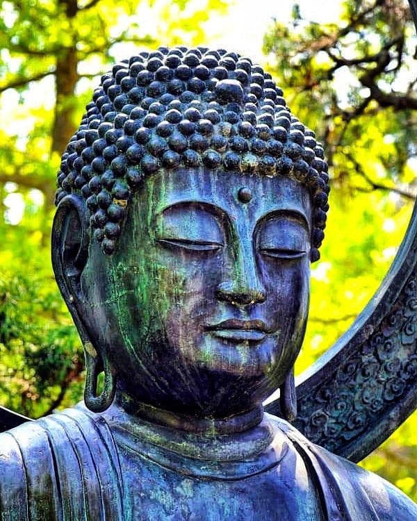 BuddhaBrian's tweet photo. Zen Is All Inclusive. It Never Denies, It Never Says No To Anything; It Accepts Everything And Transforms It Into A Higher Reality.โ
~#Osho
#Joy #Zen #Bliss #AllInclusive #NotExclusive #Compassion #Love #Buddhism #Buddha #BuddhaBrian https://t.co/tpndPMONTQ