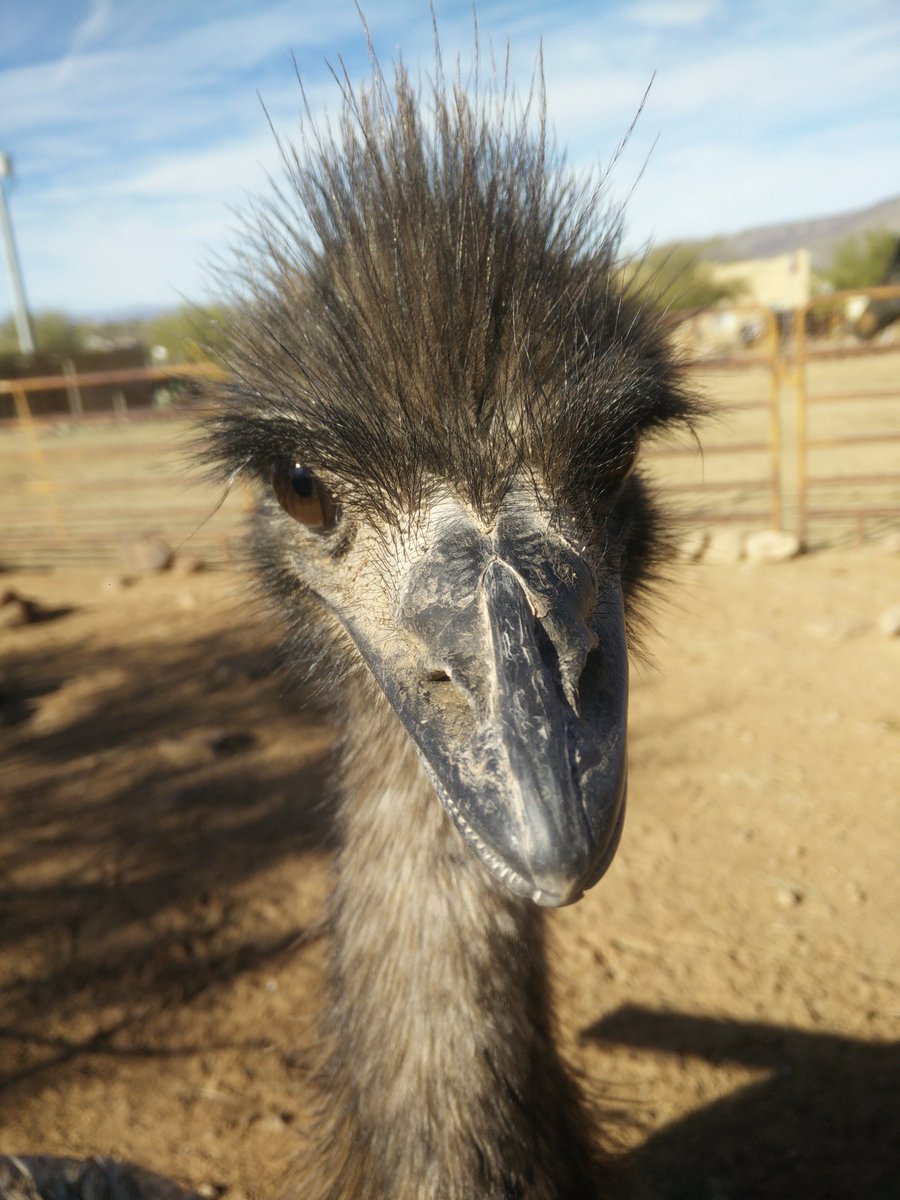 Alexander Lokken tweet media