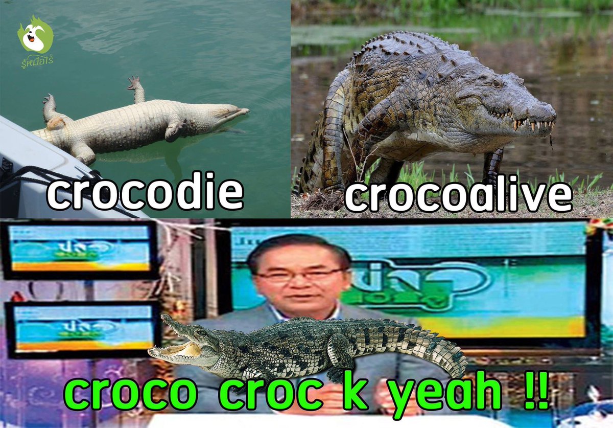 อีควายๆๆๆๆๆ55555555555555555555555555555555555555555555555