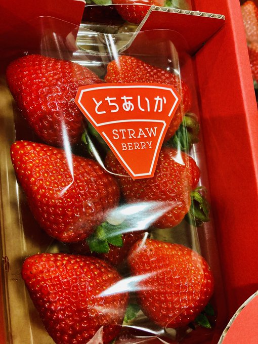 いわふねフルーツパーク いちご狩りやジェラートも人気の観光農園 とちのいち