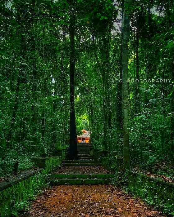 IRINGOLE BHAGAWATHY MANDIR, ERNAKULAM (Ker)The cruel King Kamsa killed Devaki’s new-borns one by one. As he tried to kill the 8th one, the baby rose up and beams emanating from her body fell on earth. The place where the beam fell was called 'Irunnol' that later became Iringol.