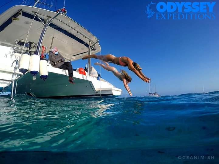 odyex's tweet image. Odyssey Expeditions Teen Adventure Programs created some fun #Berniememes #BernieSandersMittens #odyex #scubacamp #sailingcamp