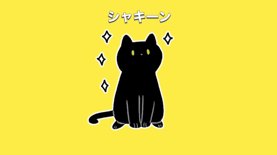 black cat no humans cat sparkle yellow background animal focus simple background  illustration images