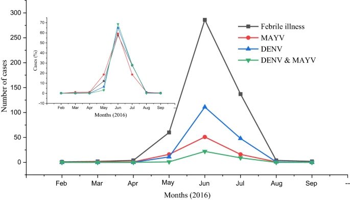 マヤロ熱：原因、症状、治療法