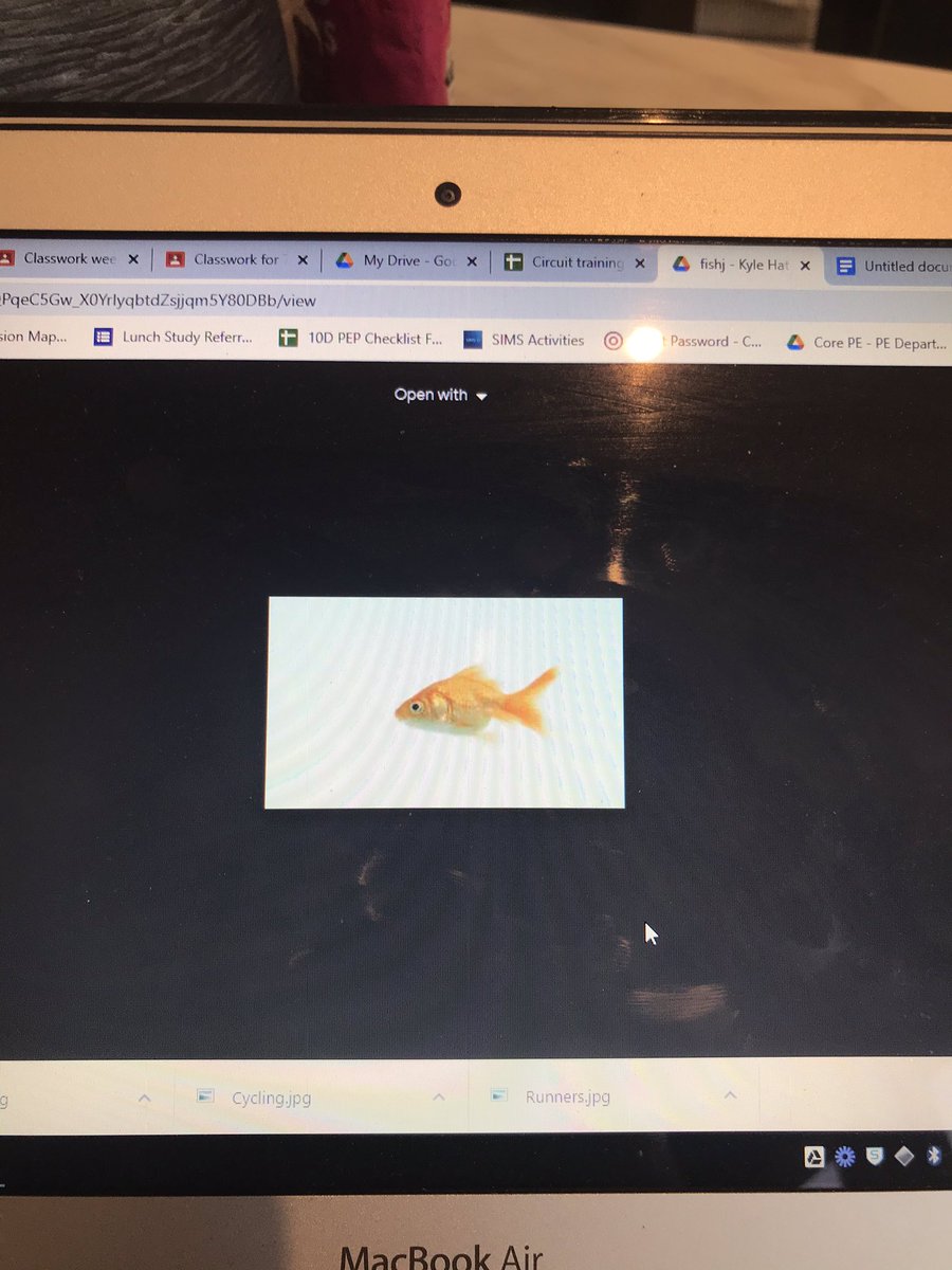 Miss Beament PE tweet media