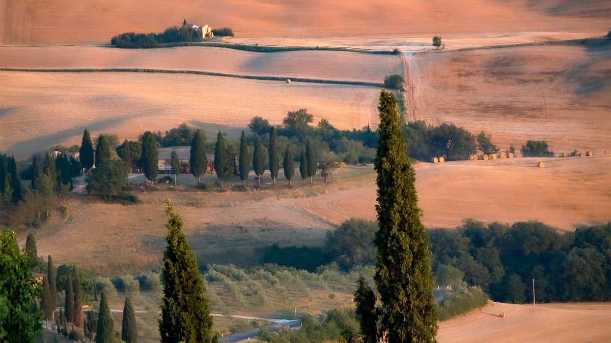 Nourishable places can and should be surrounded by family farms that are beautiful to look upon. Looking out upon local food production that is ugly might still feel virtuous, but it's far better if it's beautiful as well. 100/