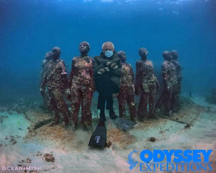 odyex's tweet image. #odyex #BernieSandersMittens #berniesmittens #freedivebernie #Grenada #freediving #odysseyexpeditions #scubacamp #marinebiologycamp
