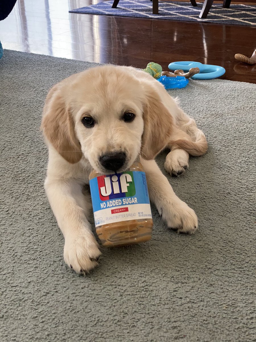 mfroseberry's tweet photo. Hey @Jif I’m all out! Can you send more? https://t.co/4ajXOgLkJz