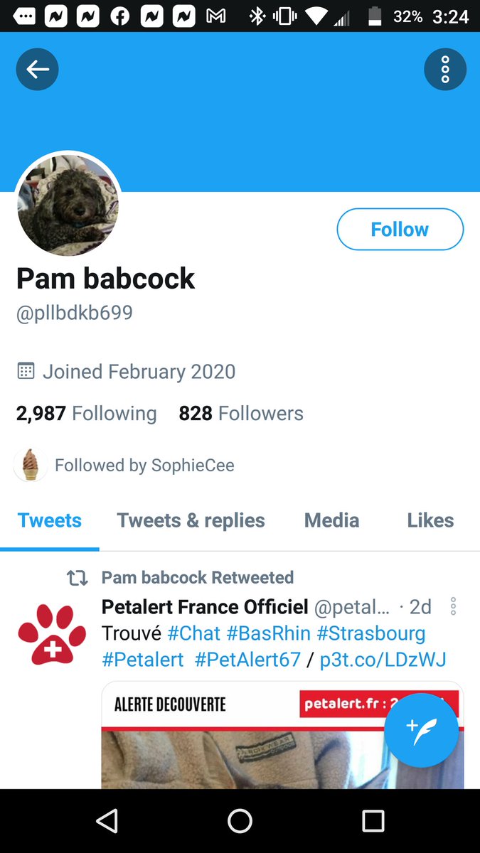 Ok guys this account is following u or u r following them. 
<a href="/venetianblonde/">Anne Margaret Daniel</a> @JumpingJaxt <a href="/GirlGiada/">Giada #FBPE #Resist</a> @WDavidD334 @vctheis <a href="/YellwBrckRd/">Yellow Brick Road</a> <a href="/mensan98th/">Heather the Snow Elf</a> @buckbyers2 <a href="/politicalchicky/">Christina</a> <a href="/danau717/">Dana J Ufkes</a> @zenlizzy <a href="/chortletown/">Anita</a>
It is a scammer. They are the same people saying they were me