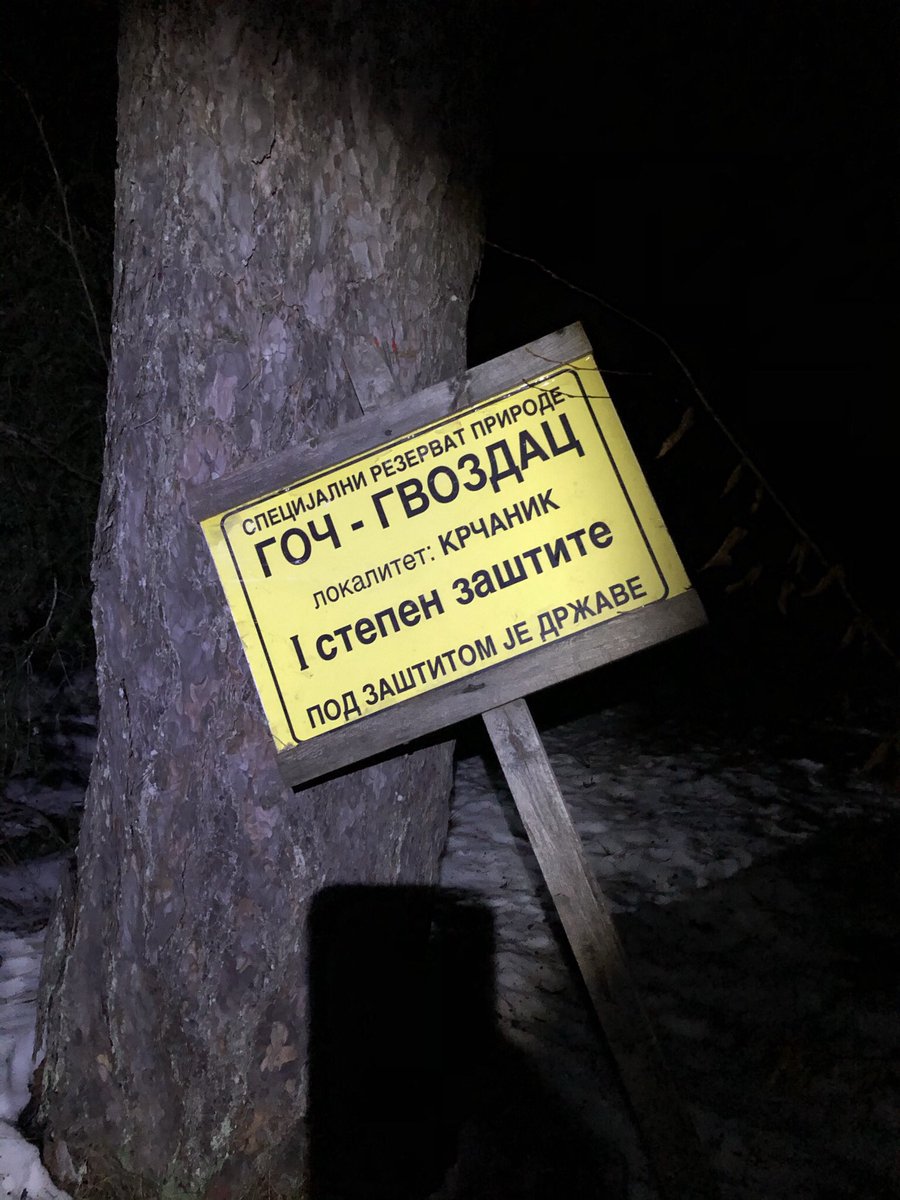 Kosopasica's tweet photo. Upoznaj Srbiju da bi je voleo #Vol73 #Kavgalija #Cvetalica #hiking @a_lazovic https://t.co/Qyx27fLmFA