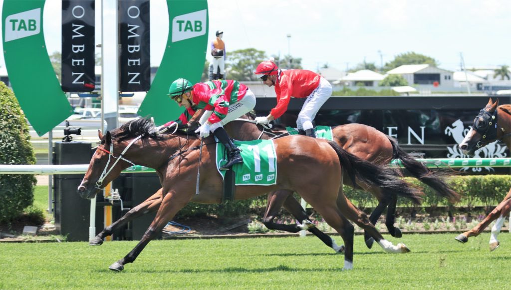 Leesracing's tweet photo. .She is a gem #MysticGem 

@SledmereStud @NewgateFarm @mallyon_andrew @BrisRacingClub @inglis_sales https://t.co/mloYo7v4sE