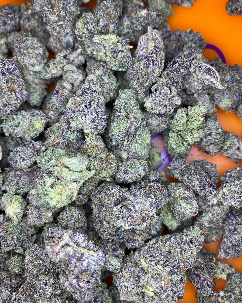 420carlossmith's tweet photo. GUESS THE STRAIN ? ๐๐. New Drop Tomorrow โ ๏ธ
#weed #weedlovers #weedsmokers #weedforsale #420friendly #wakeandbake #cannabisgrow #cannabiscommunity #runtz #cannbisculture #420fam #maryjane #girlswhosmoke #reefer #blaze #joint #stoned #bud https://t.co/c8Brvl85nI