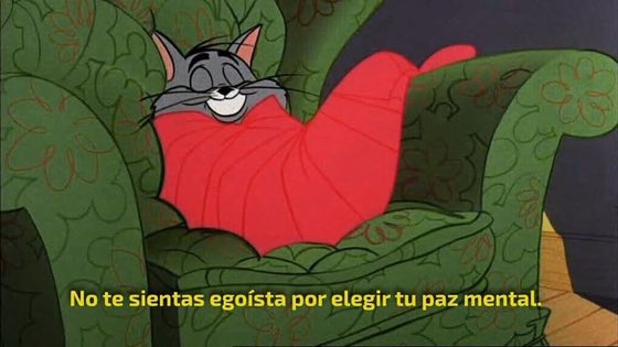 𝑻𝒆𝒙𝒕𝒐𝒔💭 (@textoescrito_) on Twitter photo 