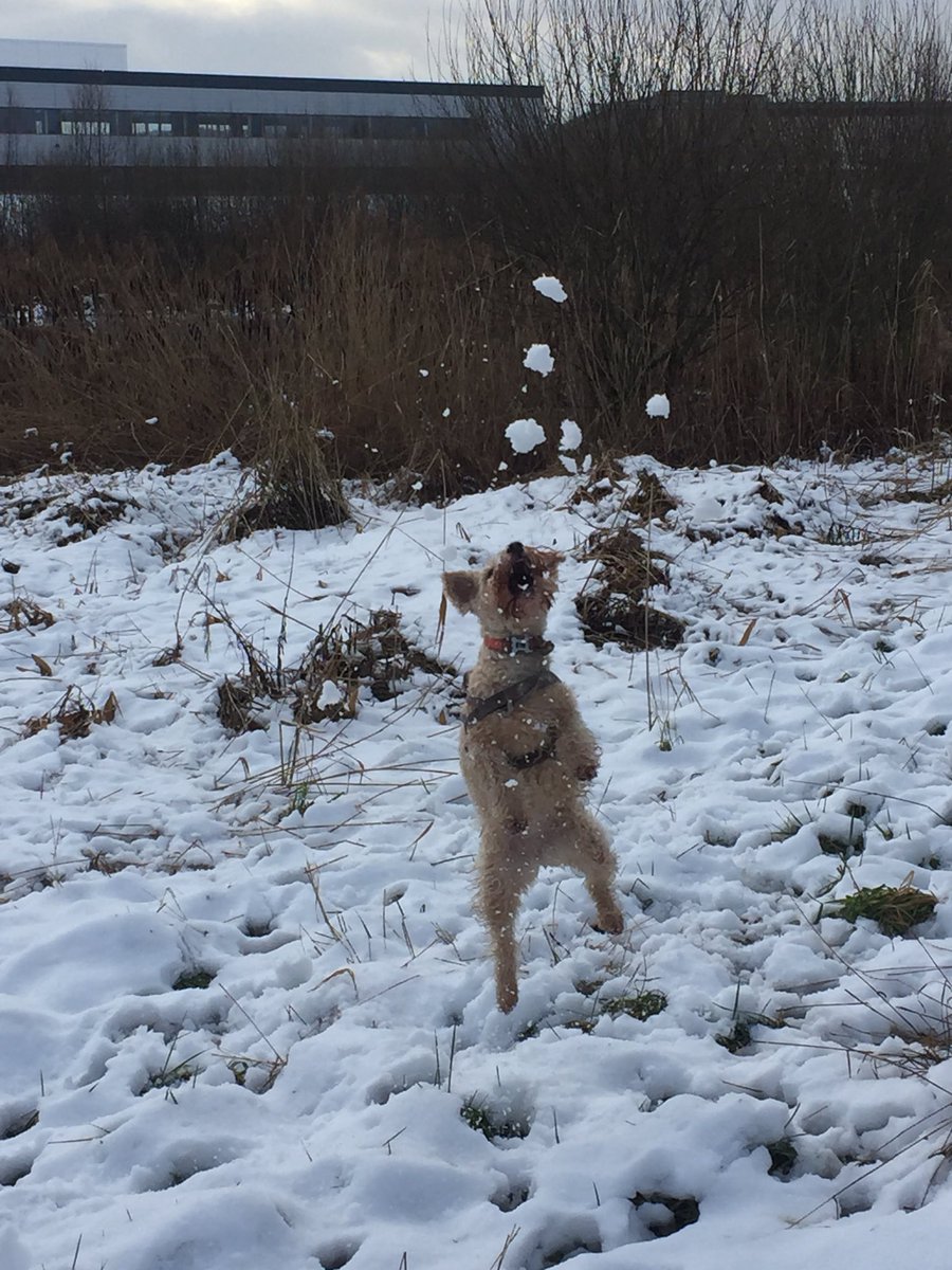 Juggling going well!