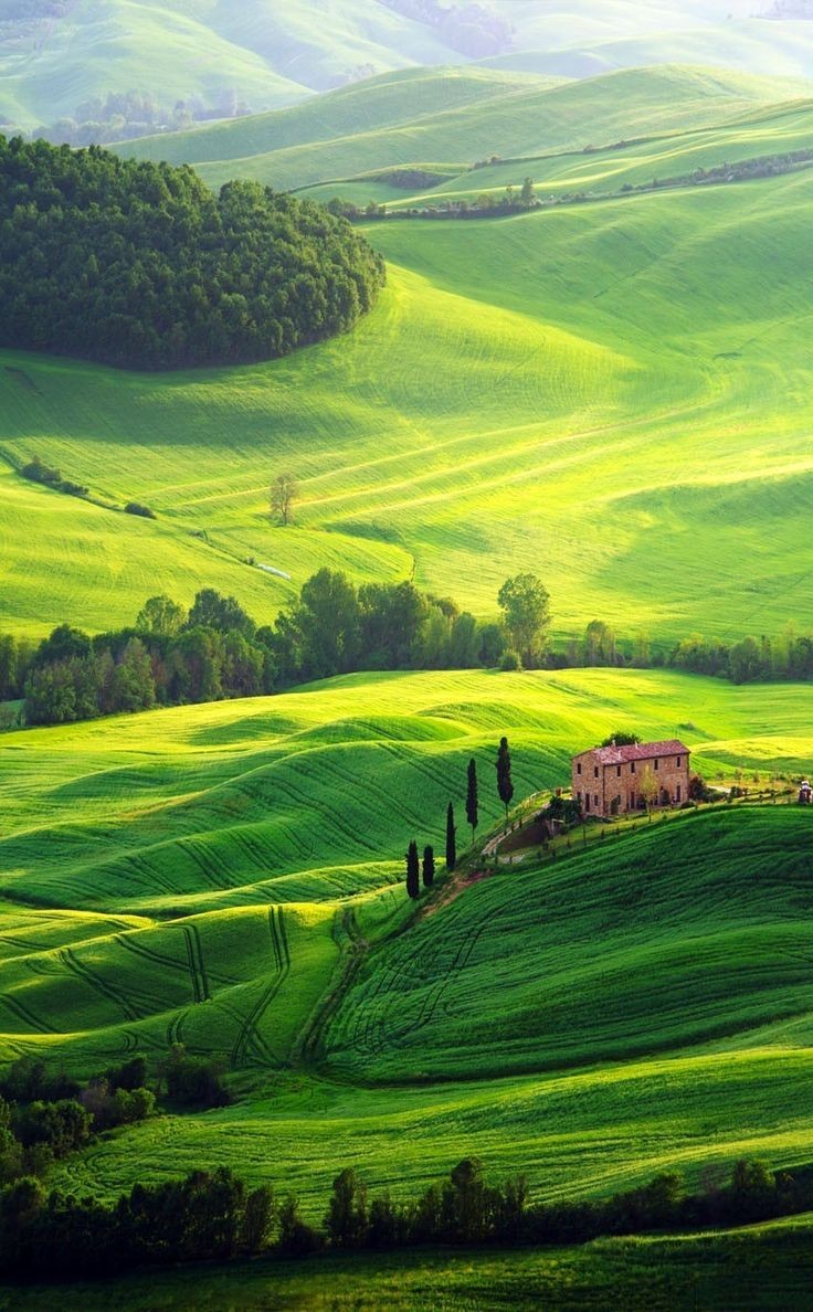 srecko_kaiser's tweet photo. Ovako nešto zaista postoji... #priroda #zeleno #polja #Italy https://t.co/djEjqWFmVc