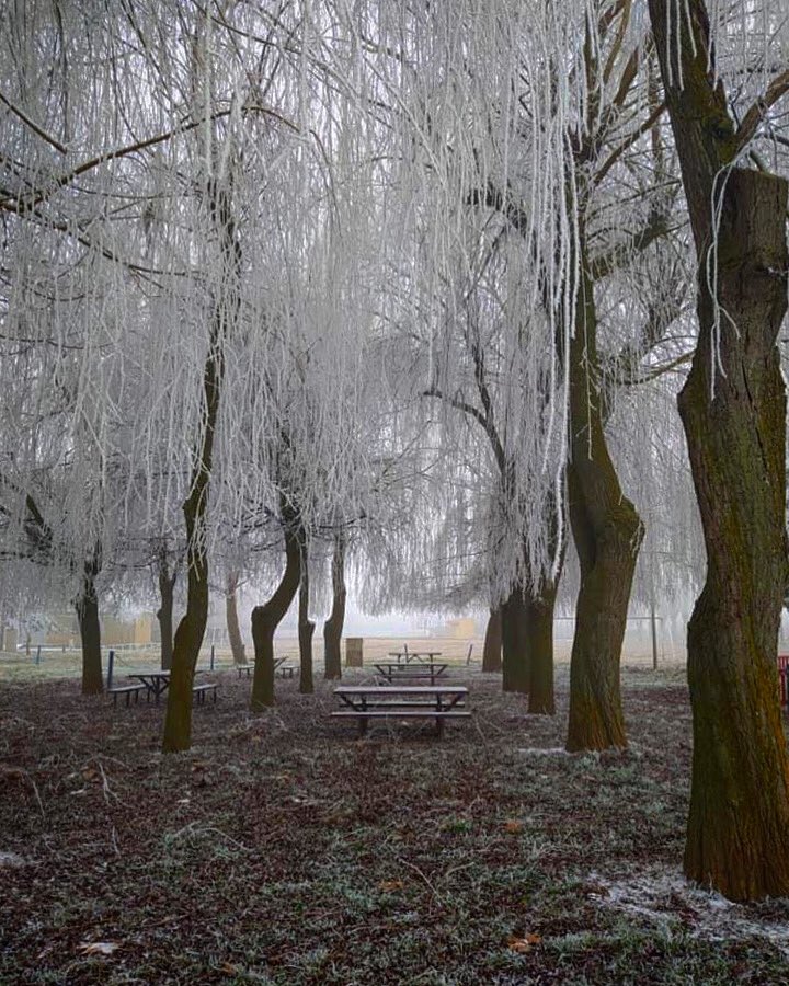 Paseo por la orilla del río Órbigo que discurre entre León y Zamora.

Foto: Blanca Cordero Mayo

#invierno #FelizFinde #España