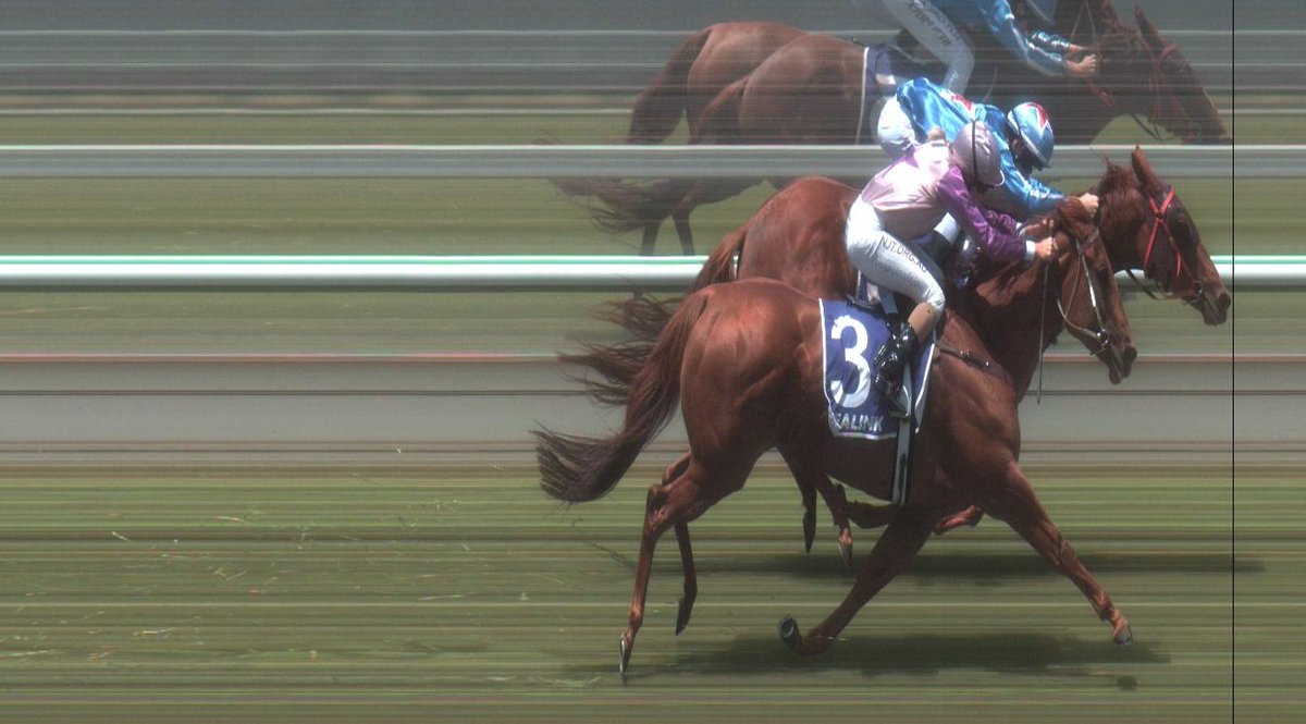 Caitlin's Angel won her third today by a narrow margin at Kingscote. Another win in the short career of Ben Price who won't be riding with a 4 kg claim for much longer. She is trained by Kym Healy for part owners including Yvonne Forrest.