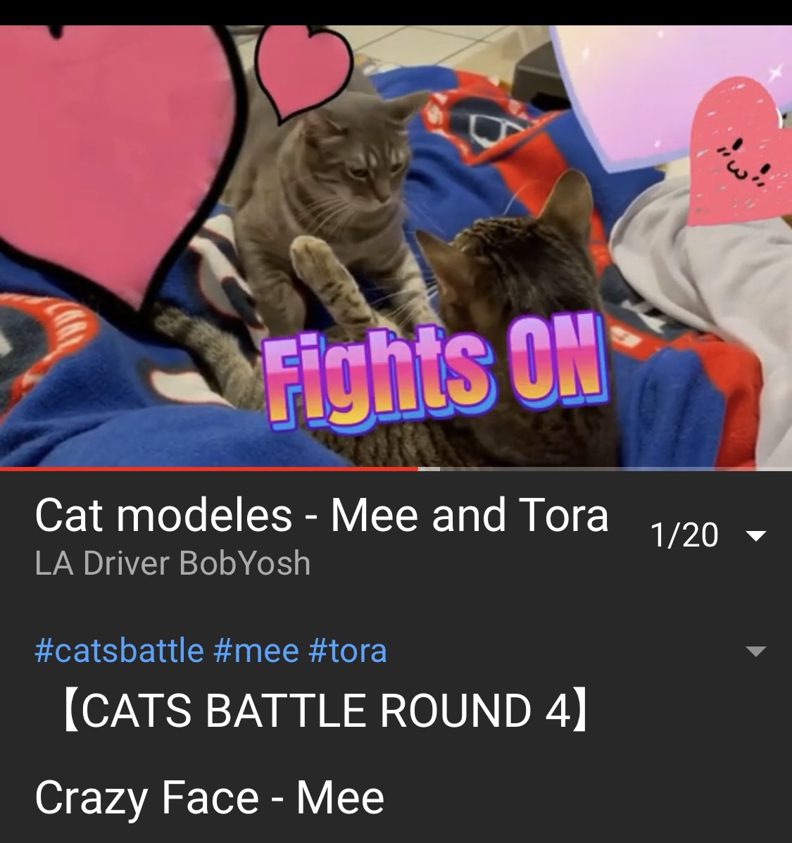 bobyosh's tweet photo. ใCATS BATTLE ROUND 4ใ Crazy Face - Mee https://t.co/2G06BEszpw
ใใใใใฉใใโ
ๅใคใฎใฏใฉใฃใก๏ผ
#็ซใฎใใใใ#ใฟใผใใใ
#ๅฏ
็ท้้ท
#catsbattle #mee #tora
#catmodels #catsgroom https://t.co/AgBxx3KQoT