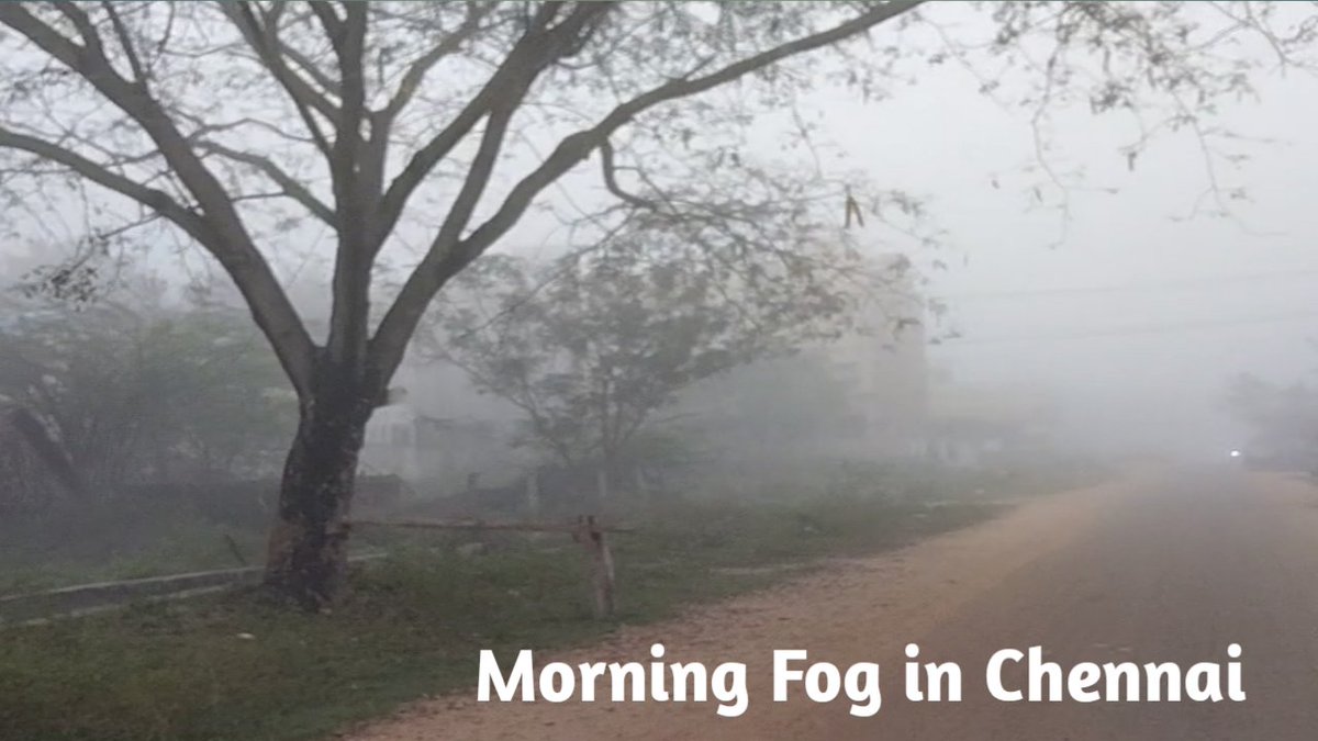 youtu.be/RqYPvStR8_k Morning  Fog in Chennai /சென்னை அழகிய பனிமூட்டம்