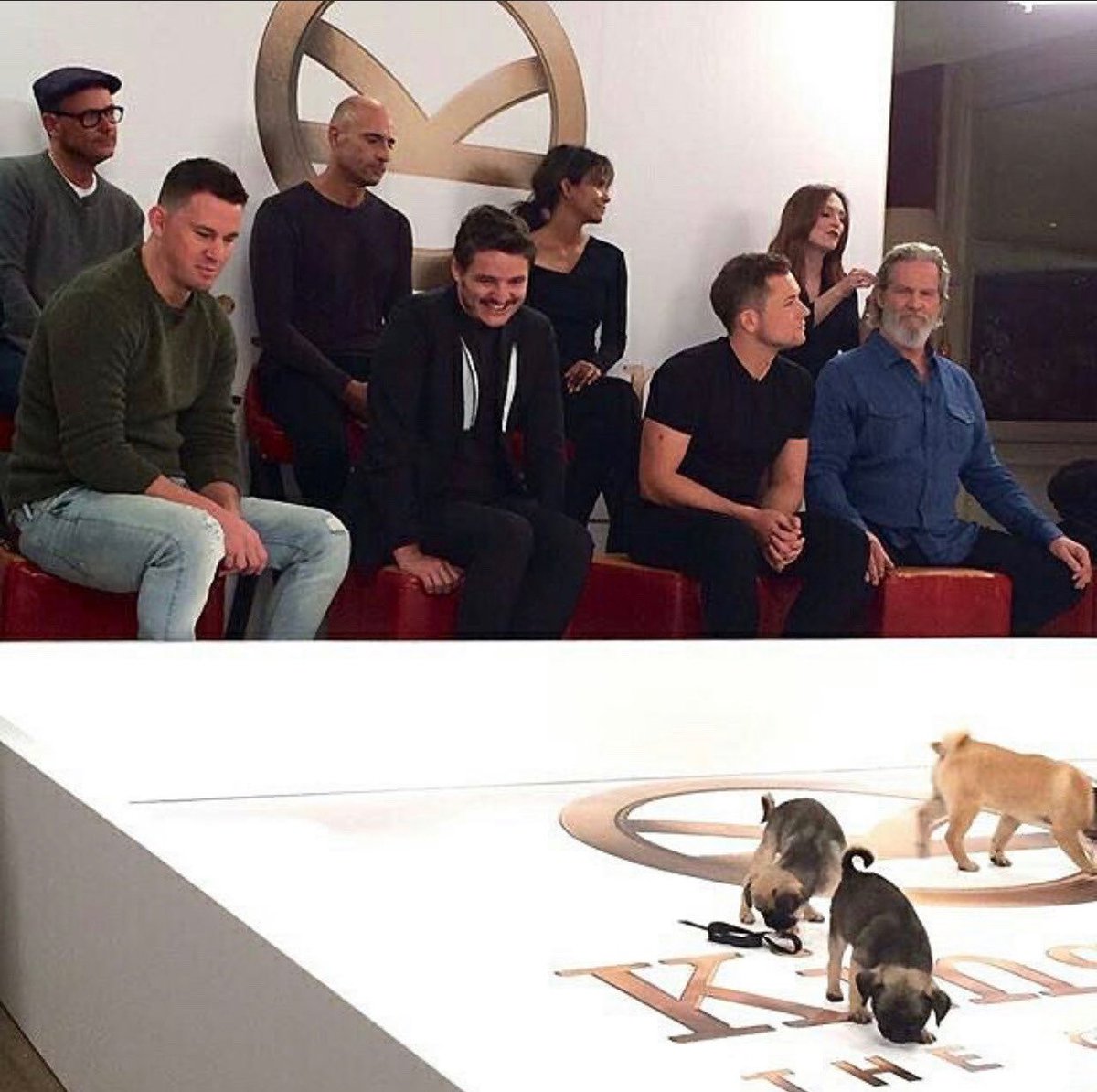 pedro pascal with dogs - a necessary thread