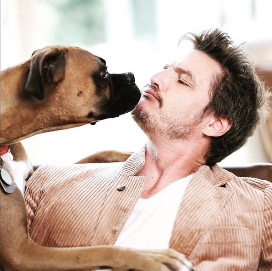 pedro pascal with dogs - a necessary thread