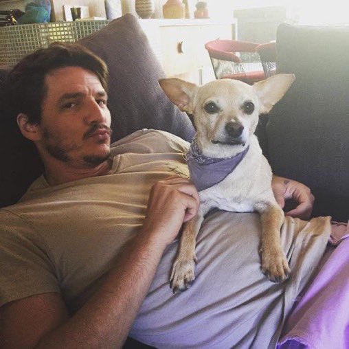 pedro pascal with dogs - a necessary thread