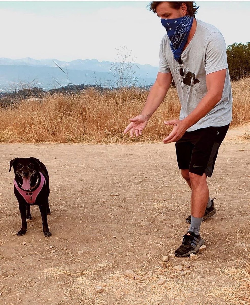 pedro pascal with dogs - a necessary thread