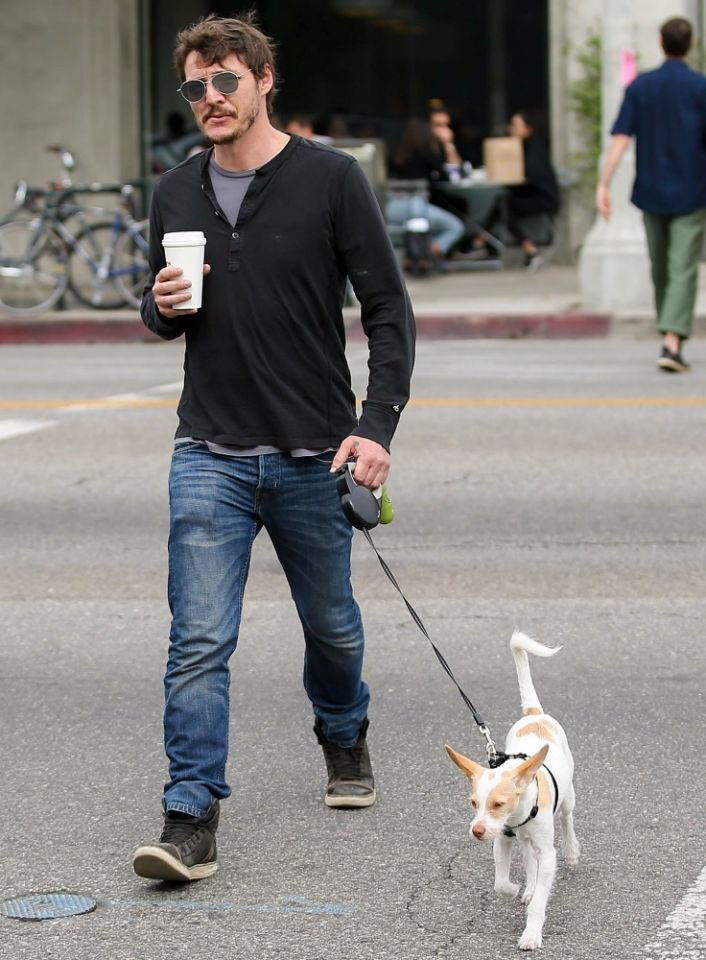 pedro pascal with dogs - a necessary thread