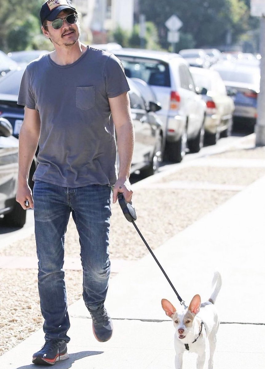 pedro pascal with dogs - a necessary thread