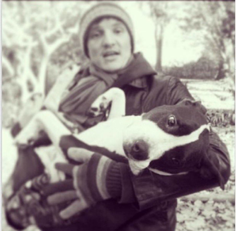 pedro pascal with dogs - a necessary thread