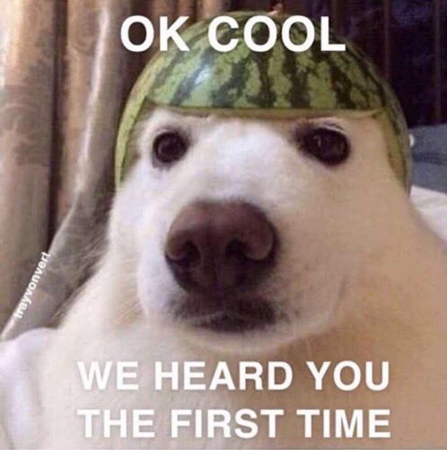 Reactions 在twitter 上 Dog With Watermelon On Head Ok Cool We Heard You The First Time T Co Sxhi7vmcyo Twitter Reactions 在twitter 上 Dog With Watermelon On Head Ok Cool We Heard You The First Time T Co Sxhi7vmcyo Twitter