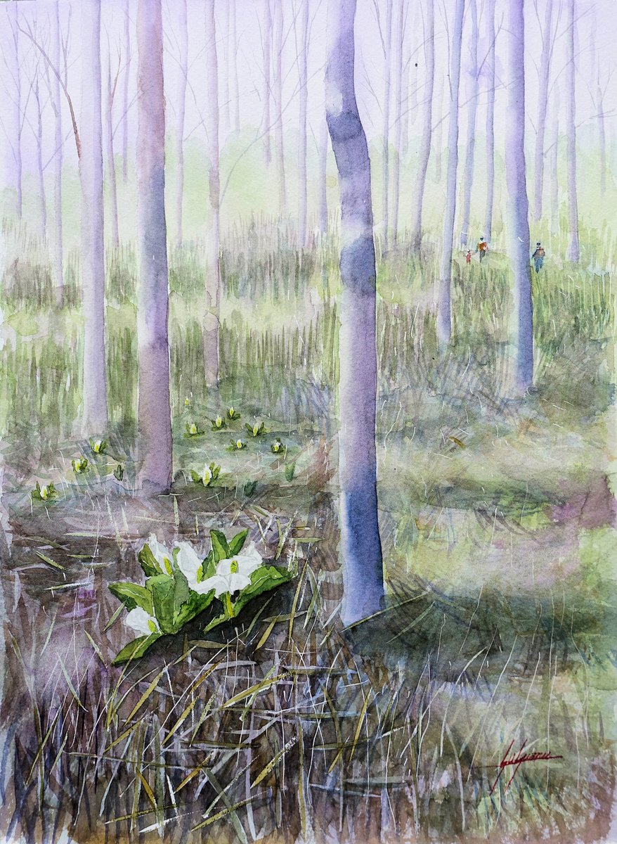 Uzivatel Susu Na Twitteru 水芭蕉透明水彩画 透明水彩画 Watercolour Landscape 水芭蕉 Art Artwork Uzivatel Susu Na Twitteru 水芭蕉透明水彩画 透明水彩画 Watercolour Landscape 水芭蕉 Art Artwork