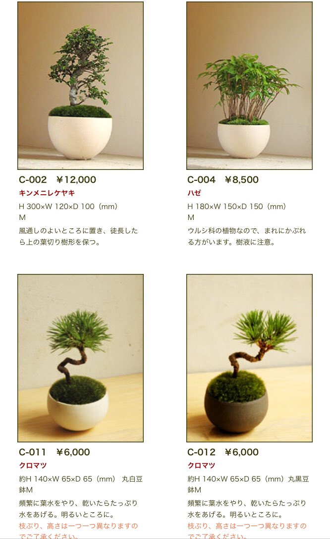 品品 品品